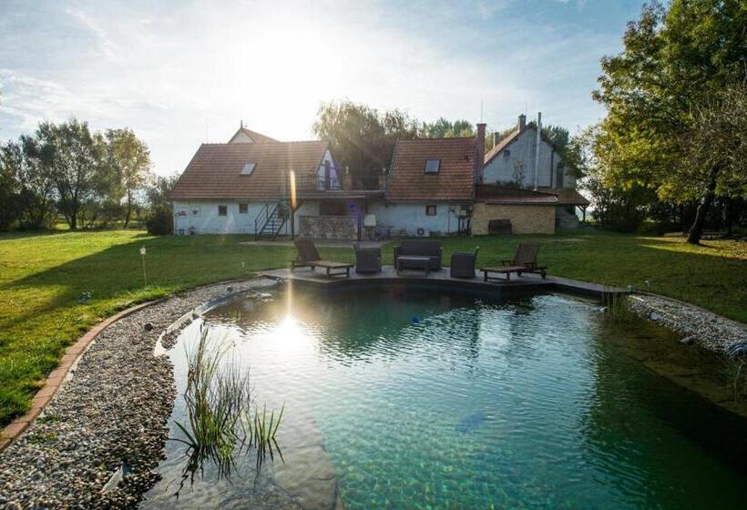 مبيت وإفطار Lesence Major