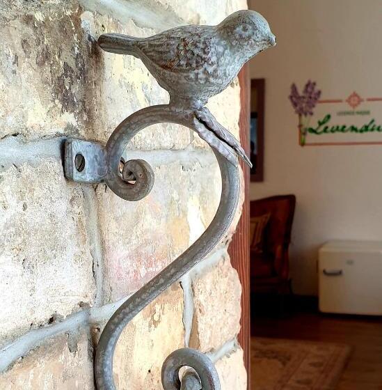 مبيت وإفطار Lesence Major