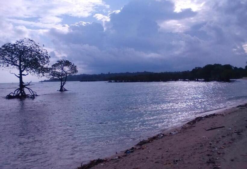 Coconhuts Beach Resort