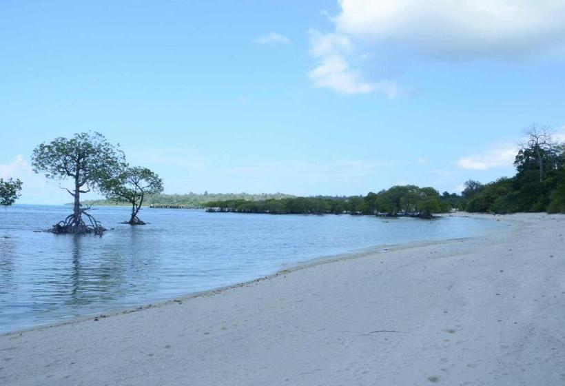 Coconhuts Beach Resort