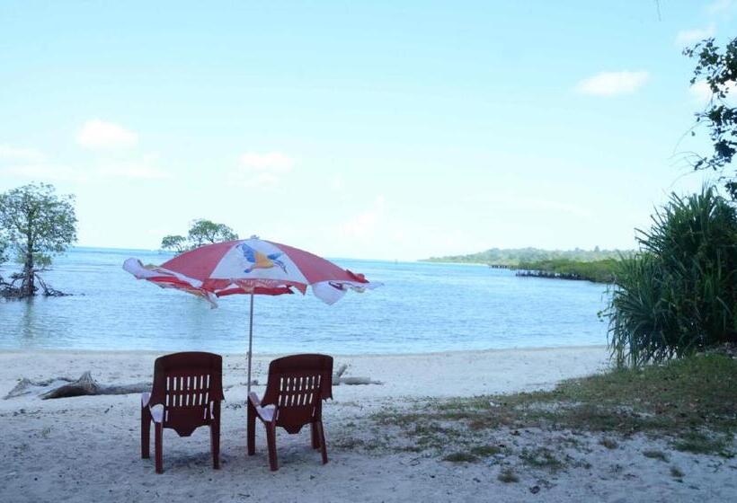 Coconhuts Beach Resort