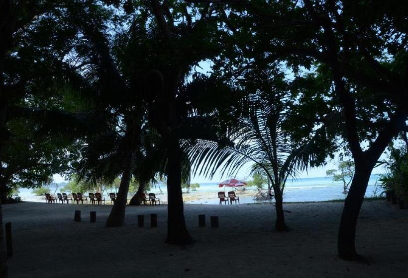 Coconhuts Beach Resort