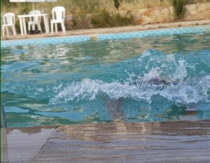 پانسیون La Rose Blanche