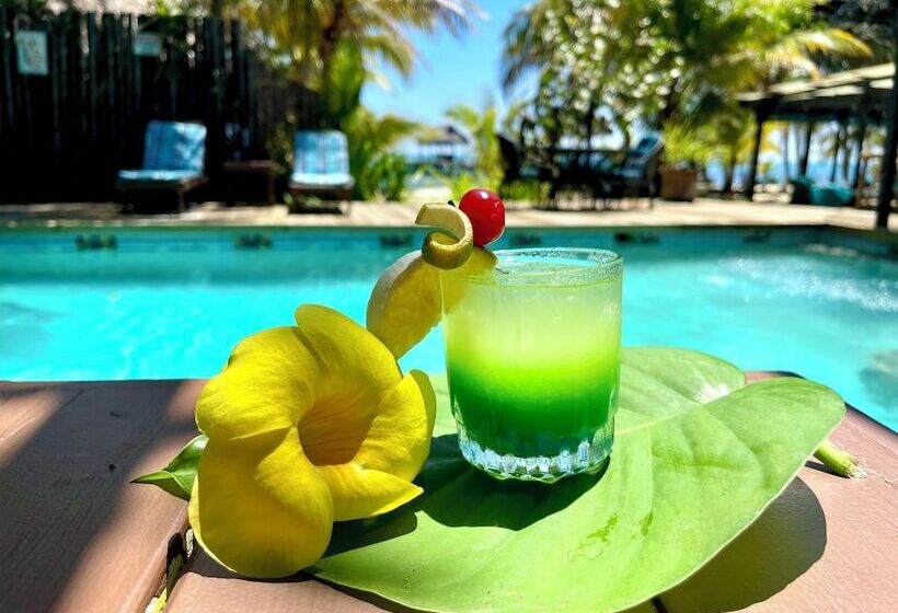 호스텔 Azure Del Mar