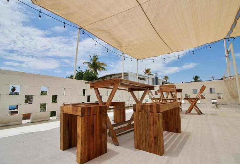هاستل Casa Ceci Inn