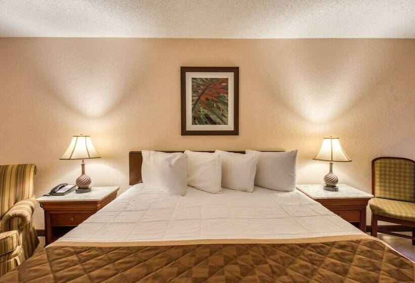 فندق صغير Palms Garden Inn