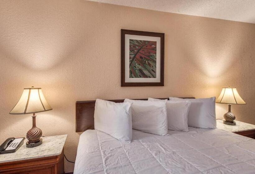 فندق صغير Palms Garden Inn