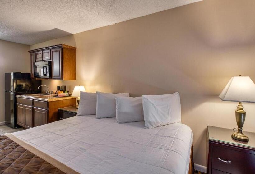 فندق صغير Palms Garden Inn