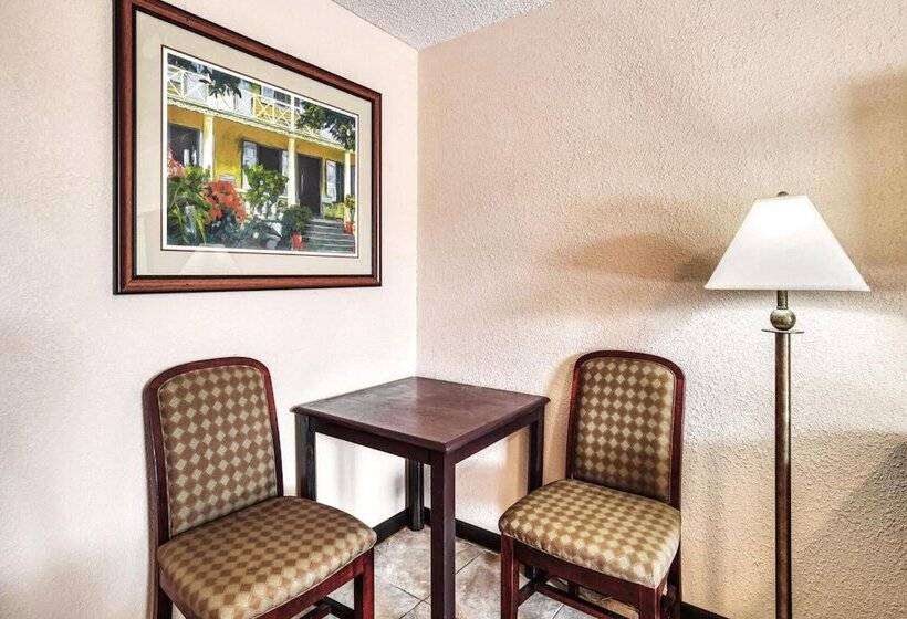 فندق صغير Palms Garden Inn