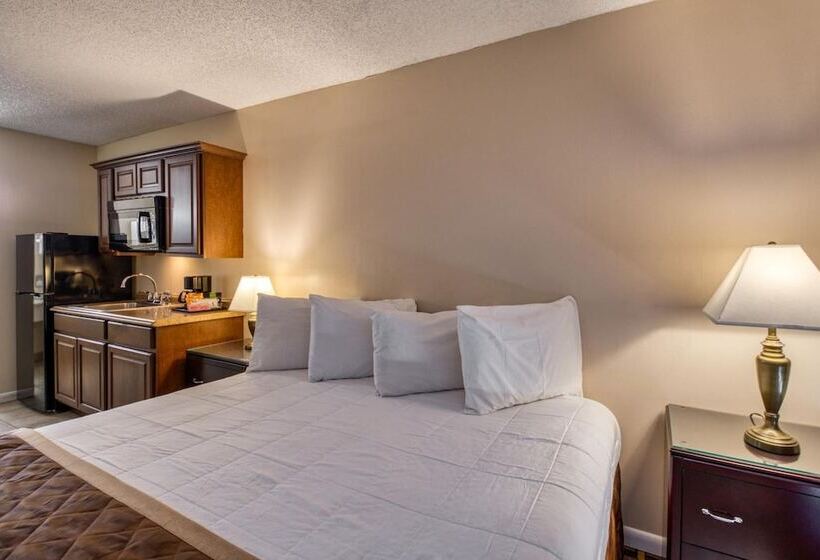 فندق صغير Palms Garden Inn