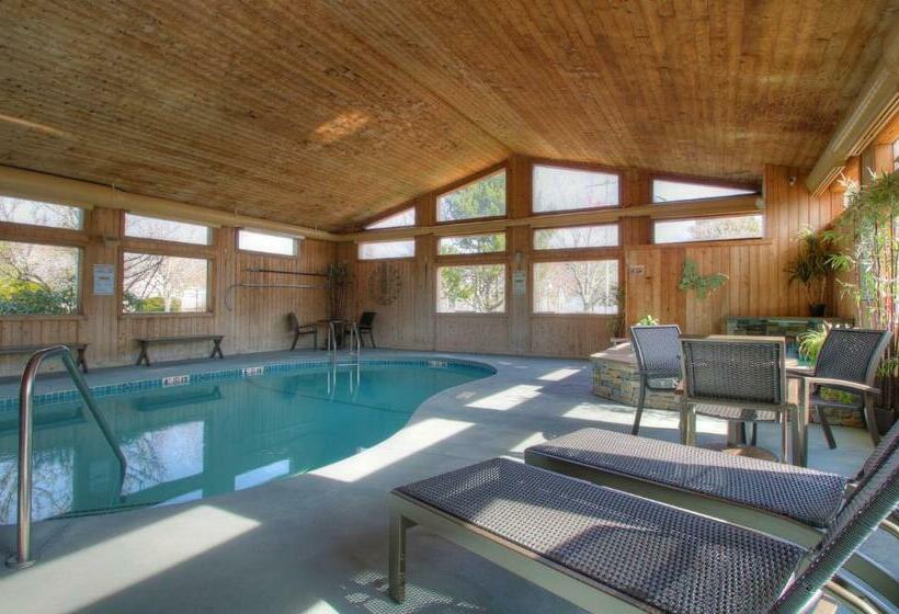 Sea Mist Resort Motel