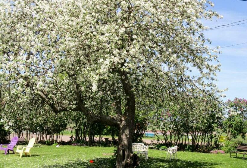 Общежитие Tidal Bore Inn