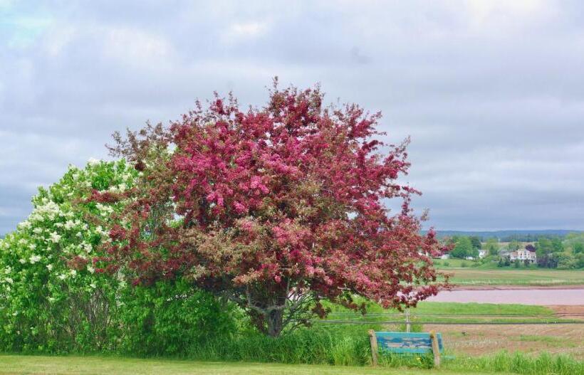 Общежитие Tidal Bore Inn