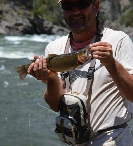 High Country Motel And Cabins