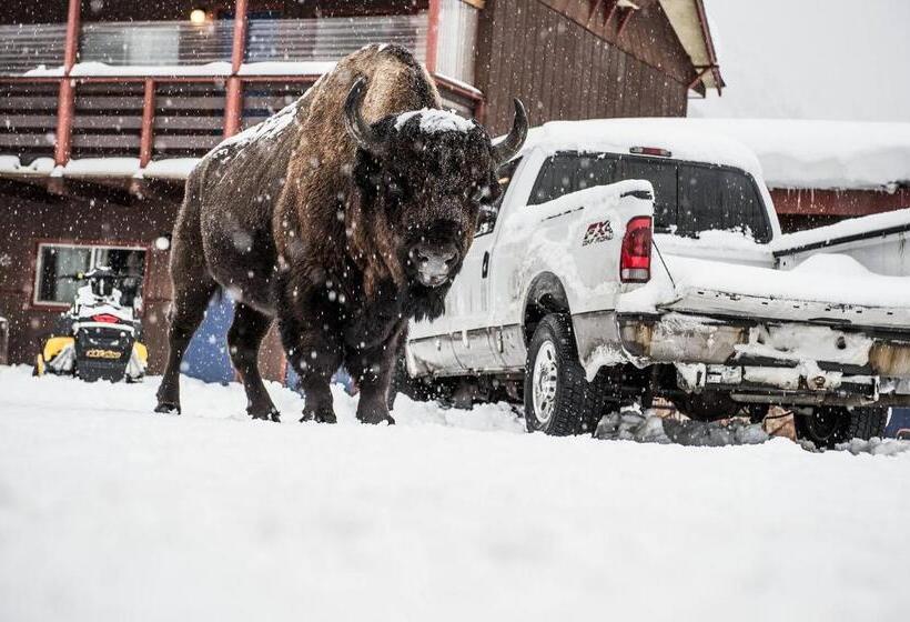 High Country Motel And Cabins