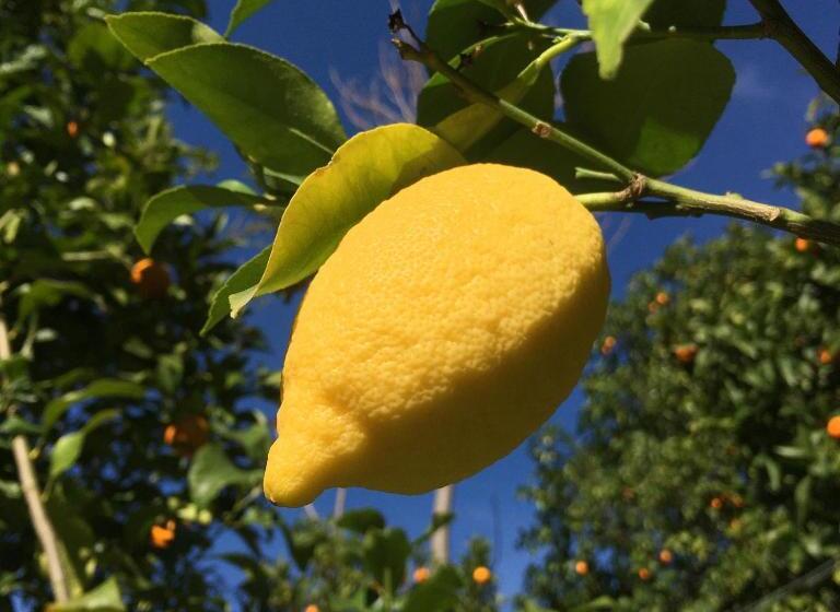 Hostel Douro Backpackers