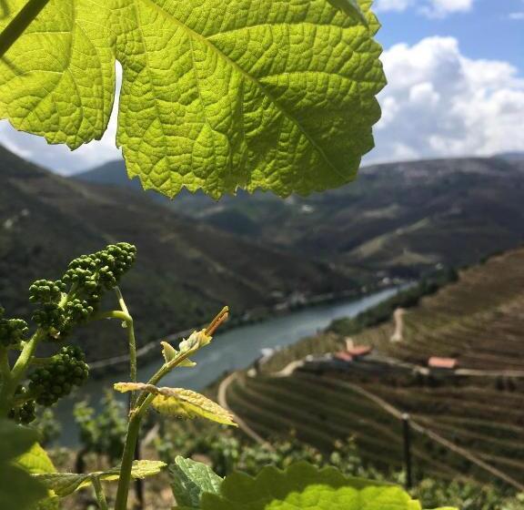 Hostel Douro Backpackers