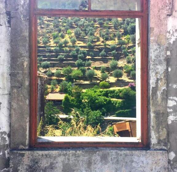 Hostel Douro Backpackers