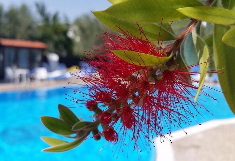 Отель La Rotonda