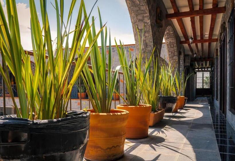 ホテル Vitorina Cholula