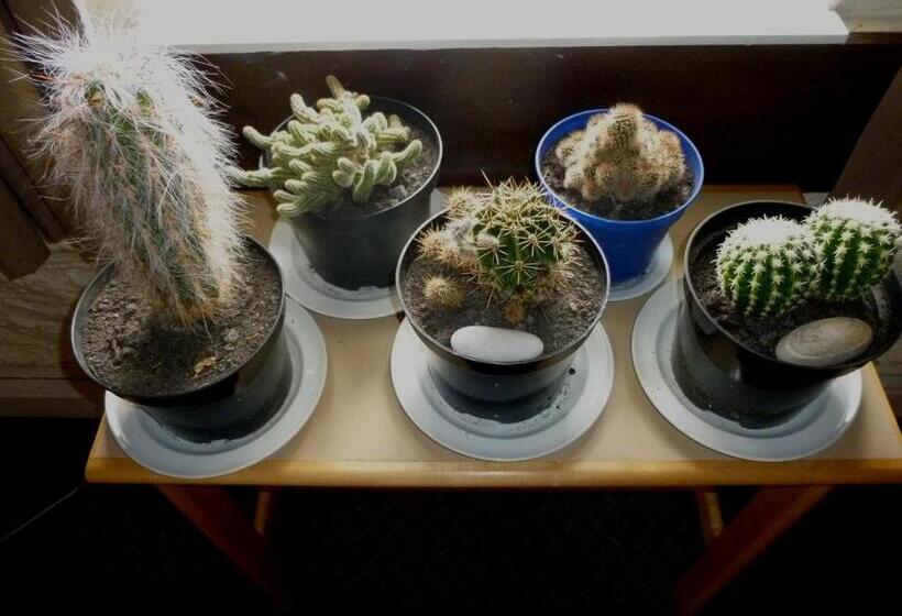 Port Charlotte Youth Hostel