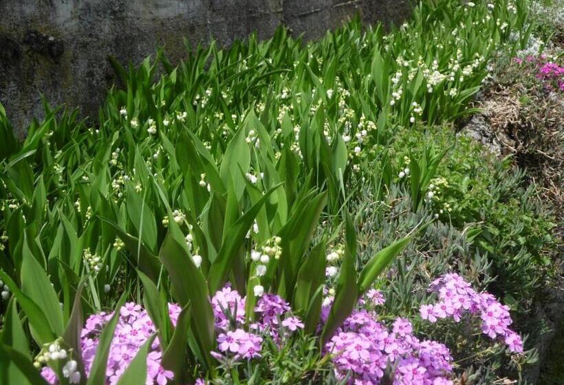 A Casa Dalla Tata B&b