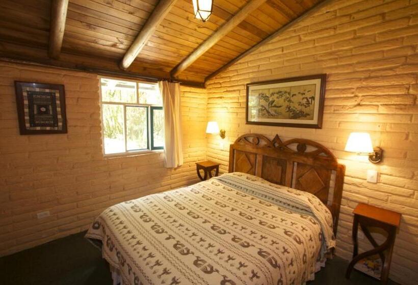 هاستل Las Palmeras Inn