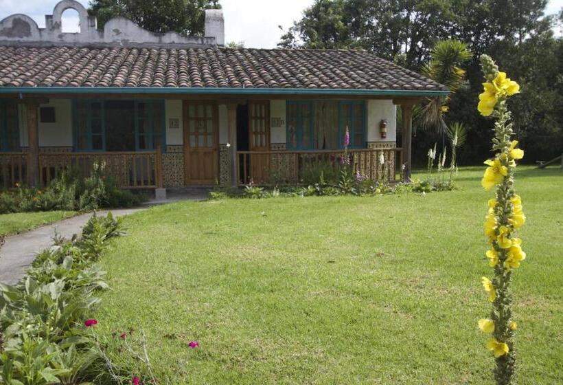 هاستل Las Palmeras Inn