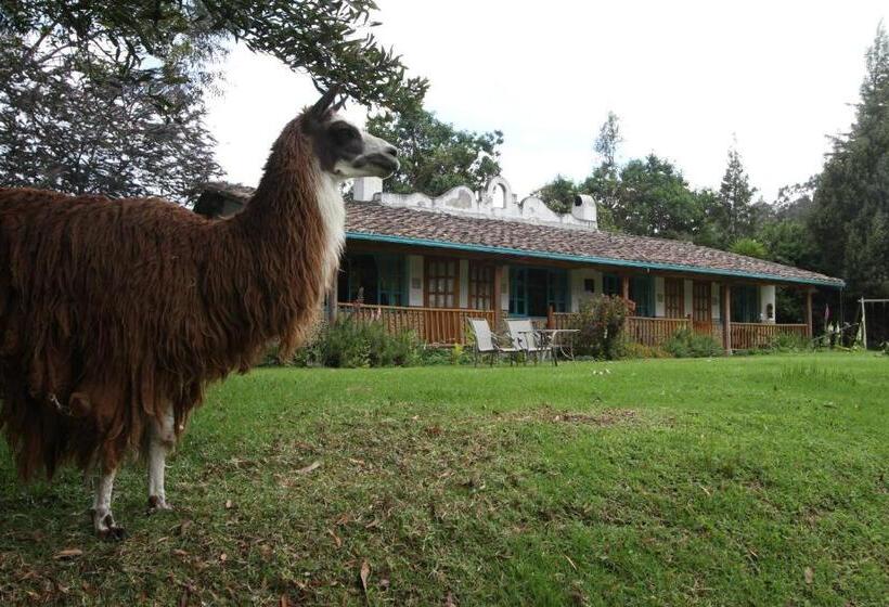 הוסטל Las Palmeras Inn