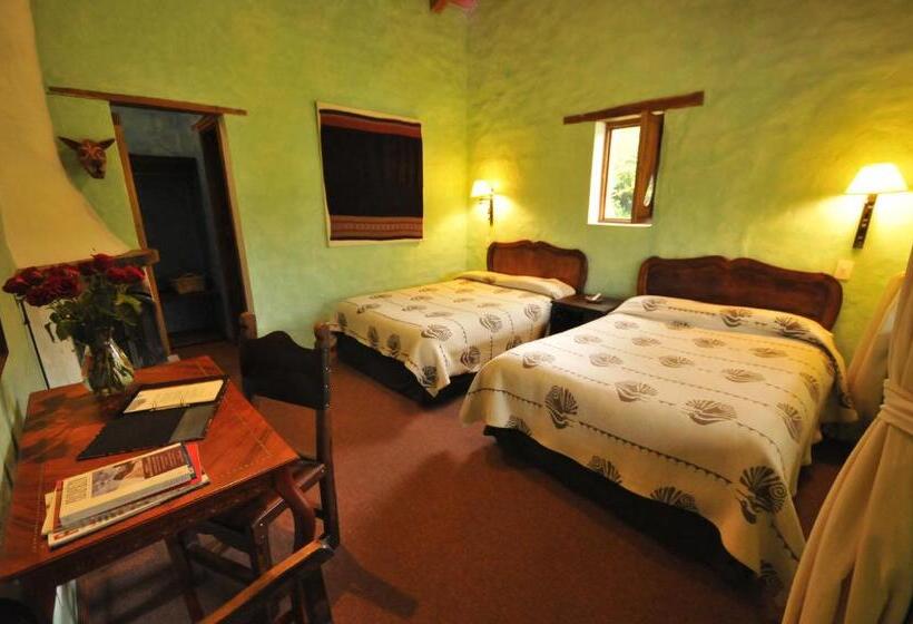 הוסטל Las Palmeras Inn