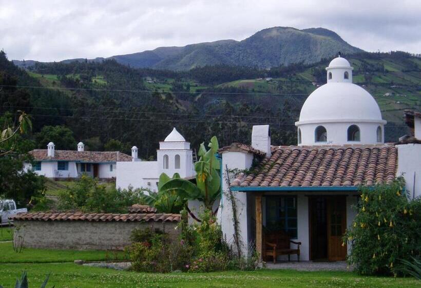 هاستل Las Palmeras Inn