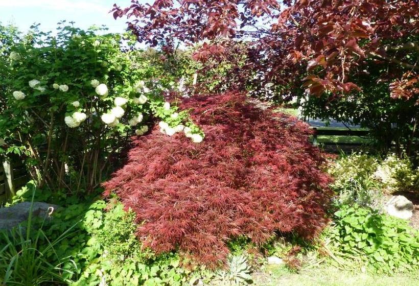 Ashcroft Gardens Bed & Breakfast