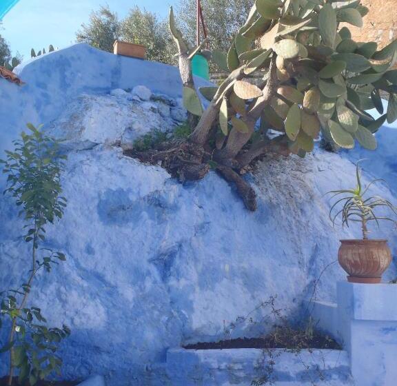 تختخواب و صبحانه Dar Dalia