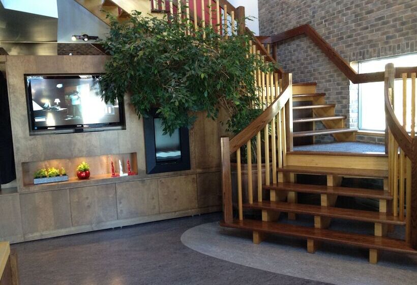 فندق Amosphère Complexe