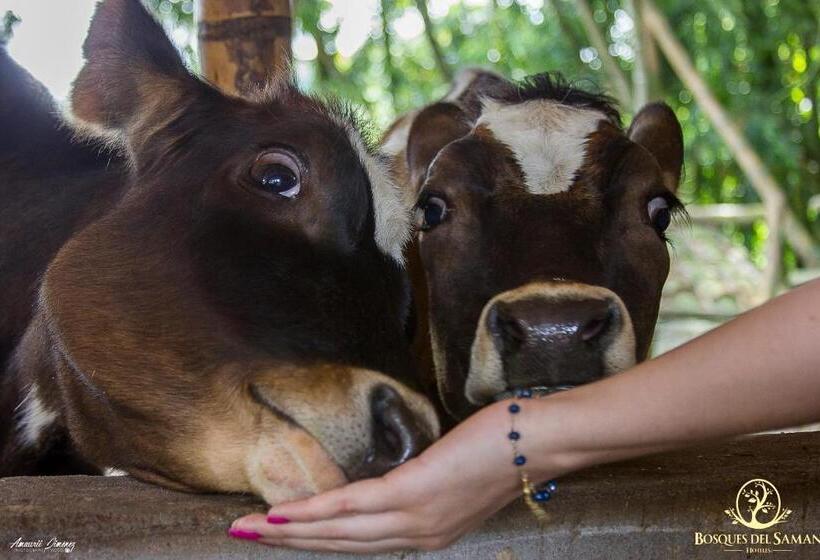 هتل Bosques Del Saman Alcala