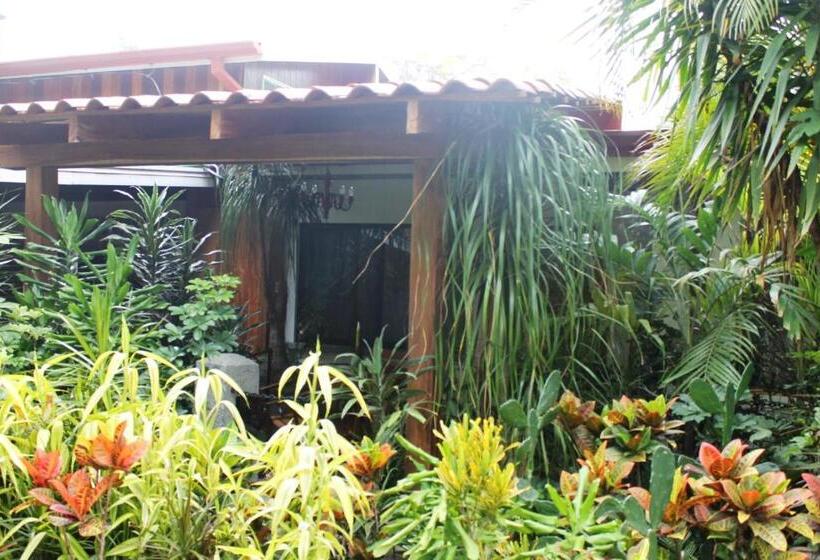 酒店 Costa Verde Inn