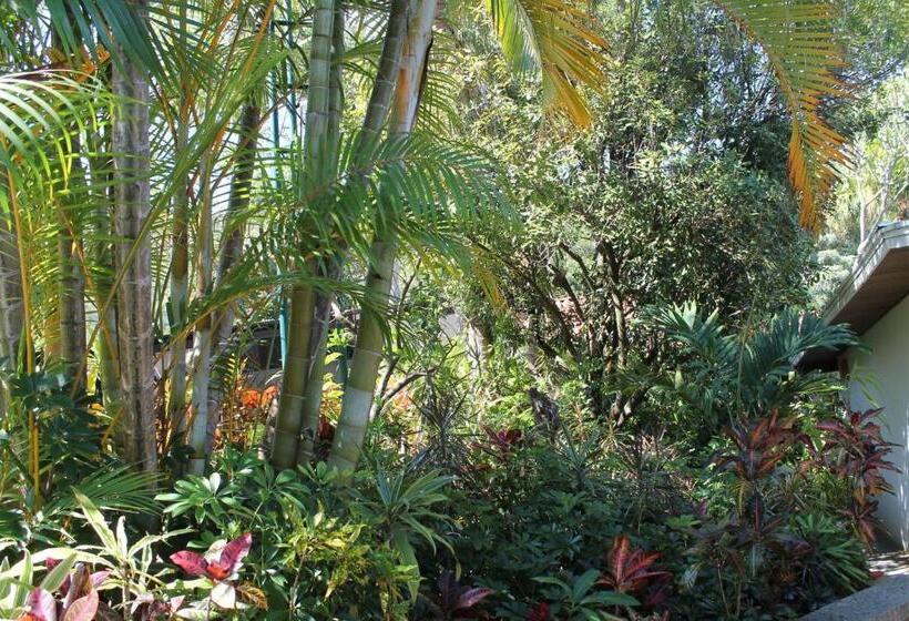 酒店 Costa Verde Inn