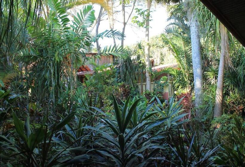 酒店 Costa Verde Inn