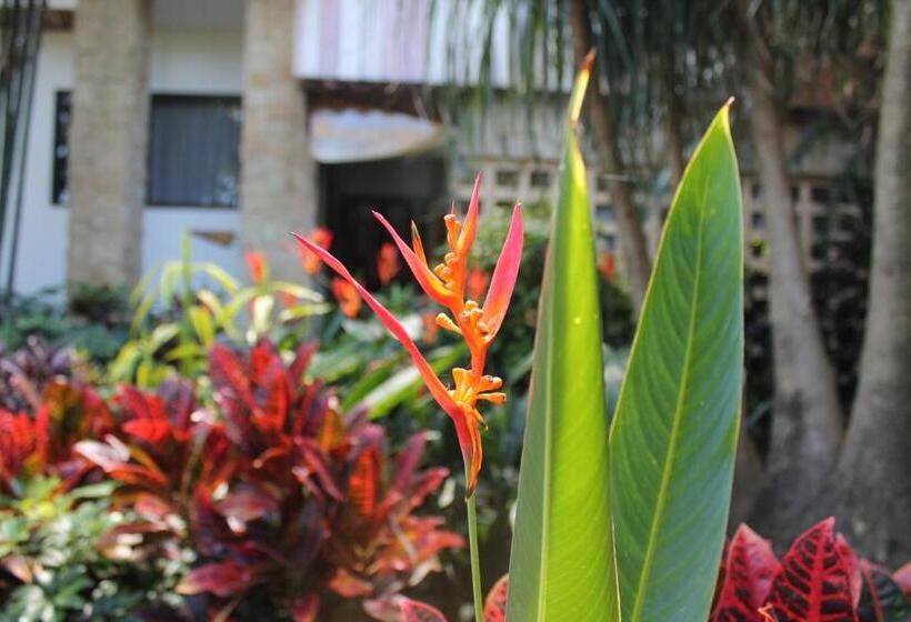 酒店 Costa Verde Inn