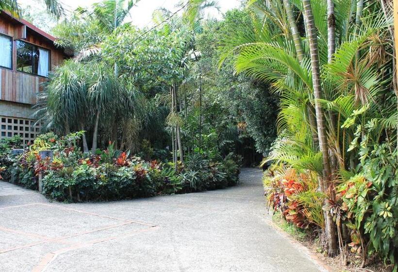 酒店 Costa Verde Inn