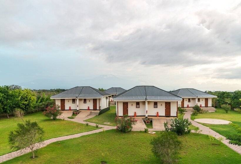 Отель Moyoni Airport Lodge