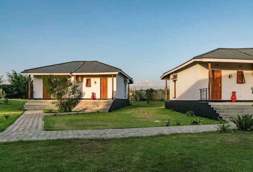 Отель Moyoni Airport Lodge