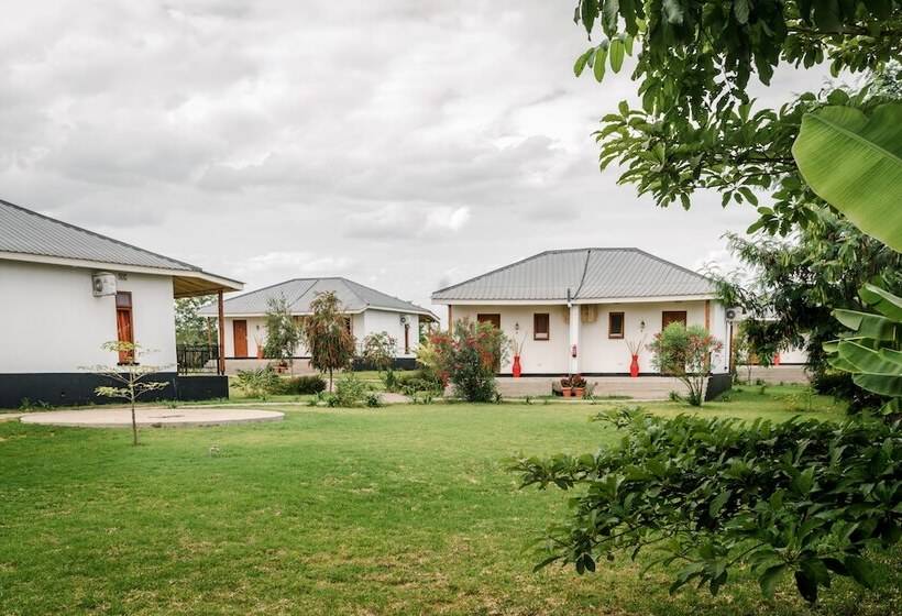 Отель Moyoni Airport Lodge