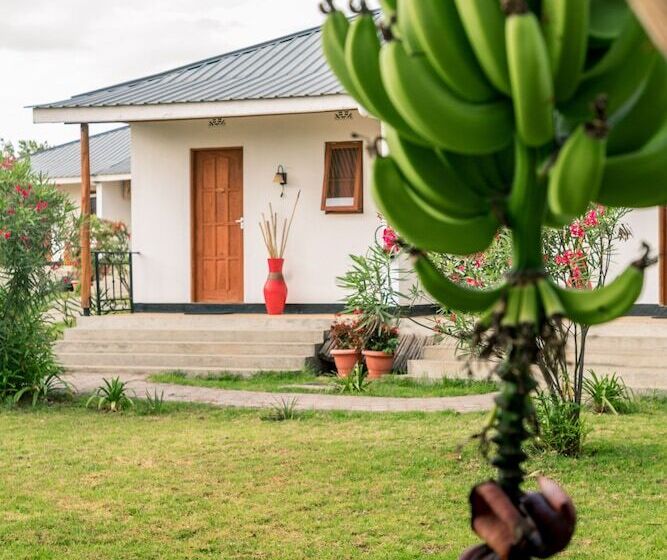 Отель Moyoni Airport Lodge