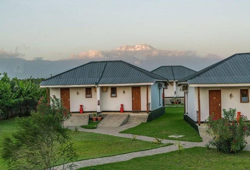 Отель Moyoni Airport Lodge