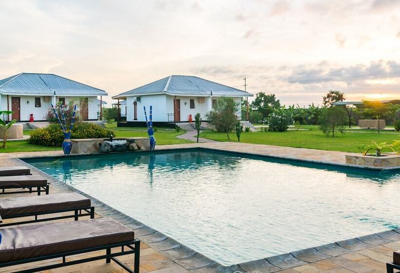 Отель Moyoni Airport Lodge