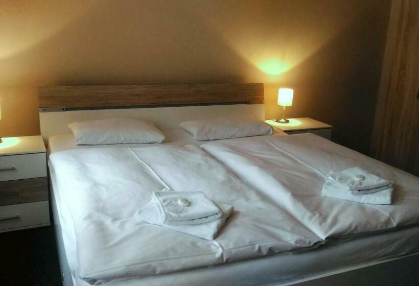 酒店 Penzion Marion