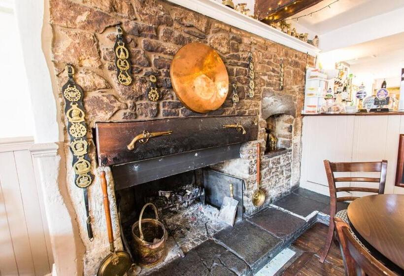 בית מלון כפרי The Swan