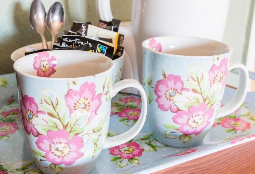 בית מלון כפרי The Swan