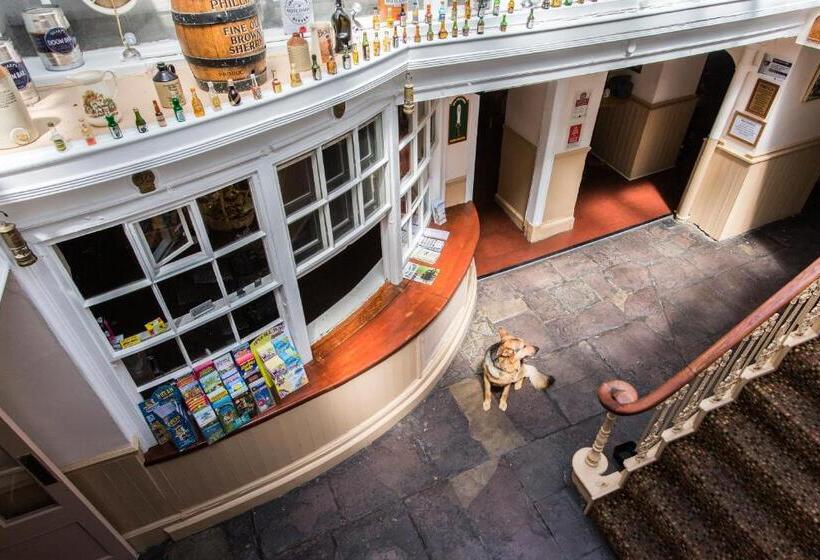 בית מלון כפרי The Swan